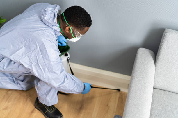 Best Real Estate Pest Inspections  in Muttontown, NY